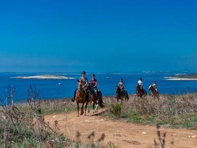 Das Reiten am Meer in Kroatien I Eine besondere Kombination aus Abenteuer und Entspannung