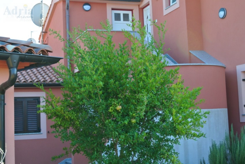 Adria-dream_Kroatien_Medulin_Villa Ancora