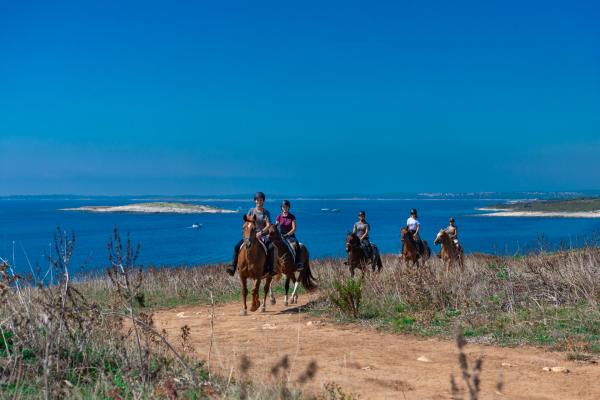 Das Reiten am Meer in Kroatien I Eine besondere Kombination aus Abenteuer und Entspannung